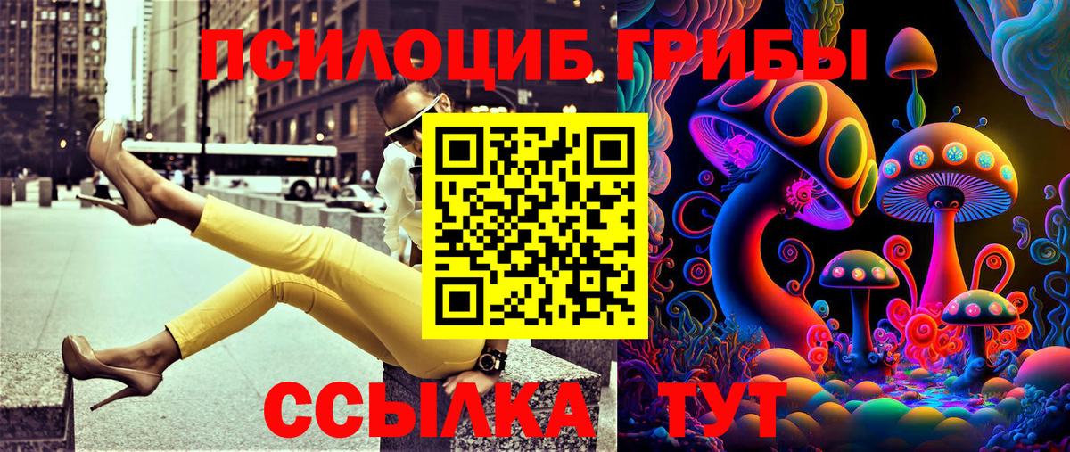 Псилоцибиновые грибы MAGIC MUSHROOMS Вольск