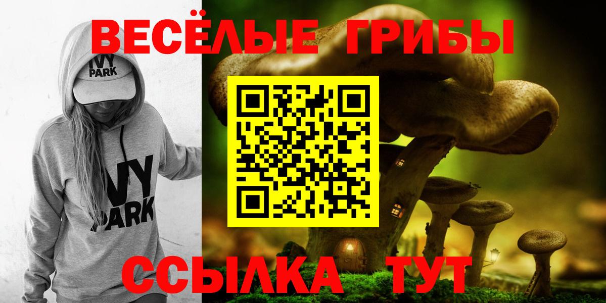 Галлюциногенные грибы MAGIC MUSHROOMS  Вход с VPN  Вольск 